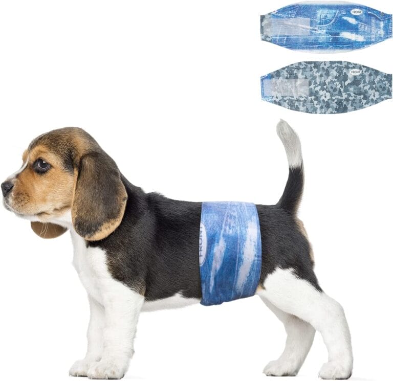 Dog Belly Bands: Solving Problems with an Innovative Solution