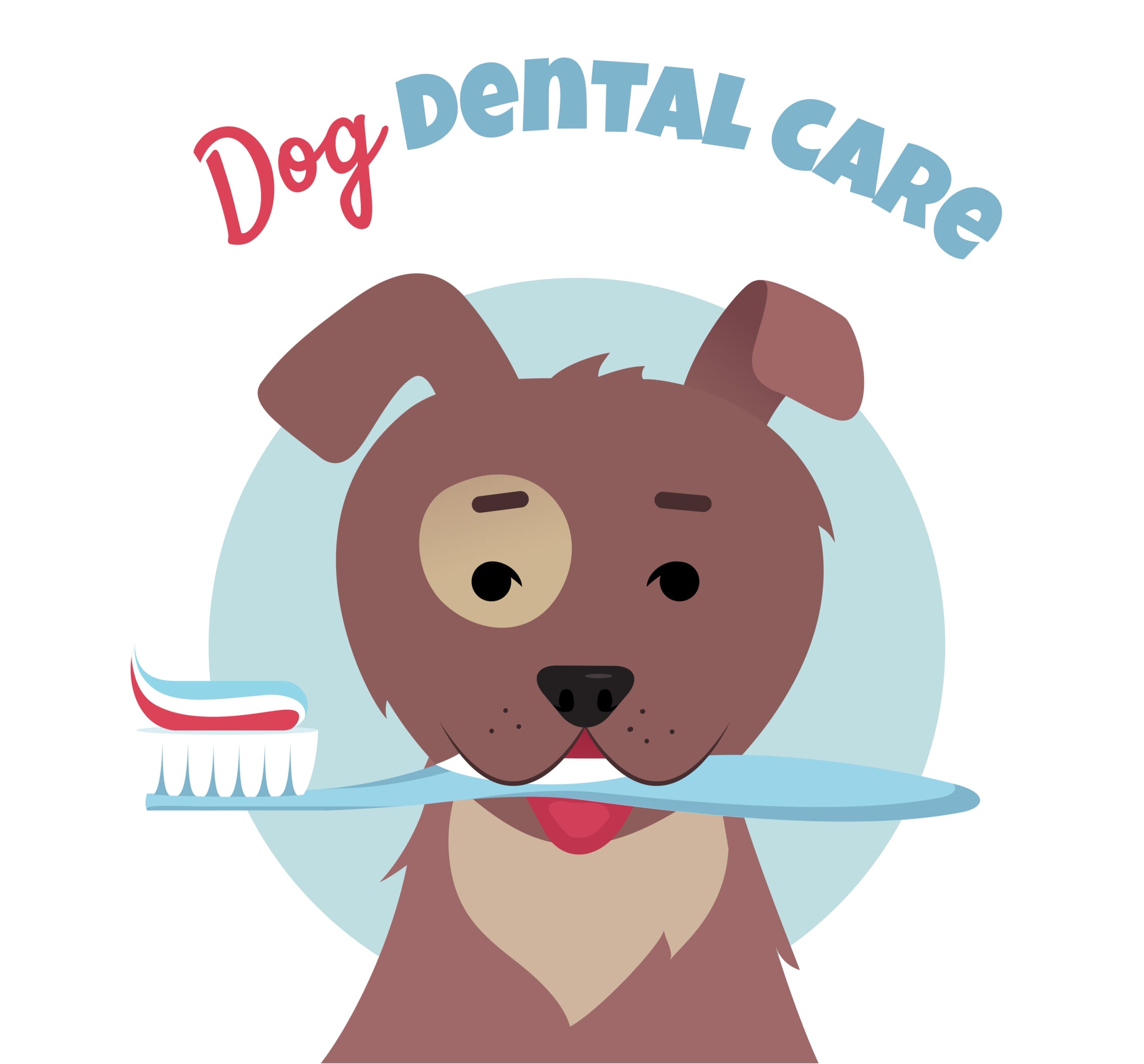 5 Must Have Dog Dental Products 5 Must Have Dog Dental Products