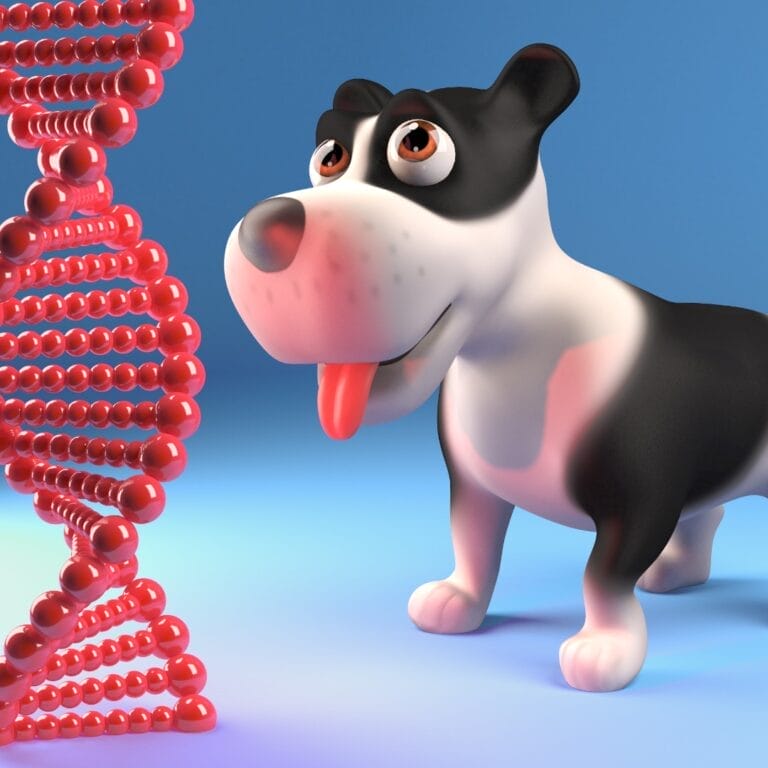 Buyer’s Guide to Mixed Breed Dog DNA Tests