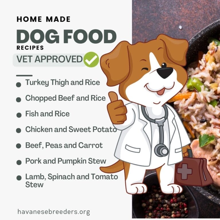 Homemade Dog Food Recipes Vet Approved