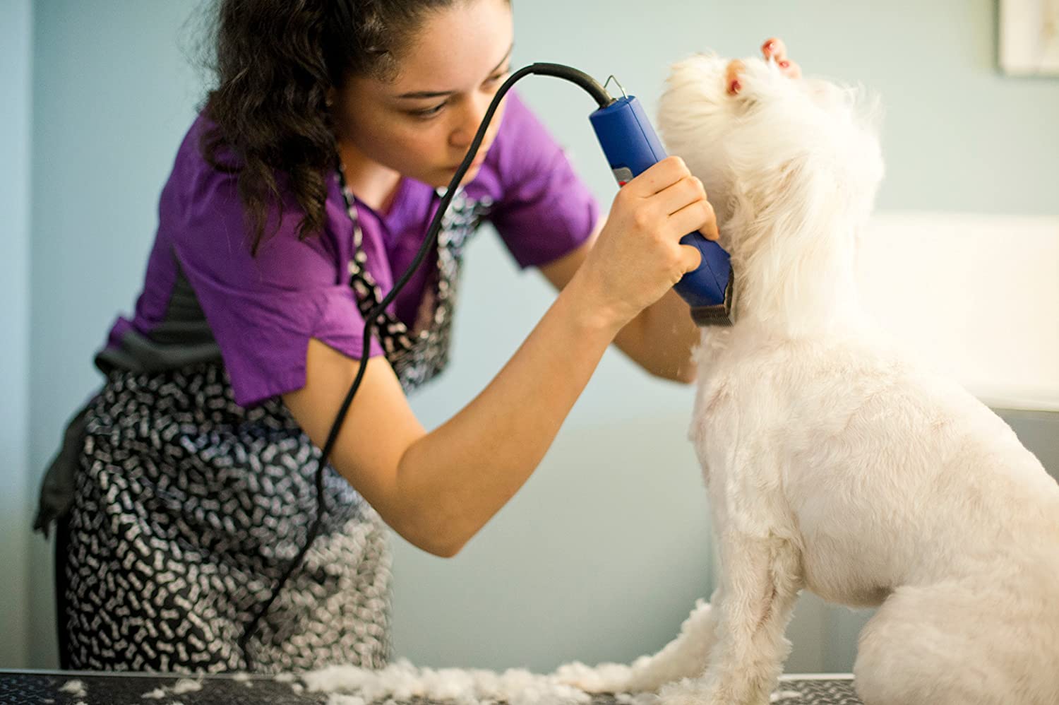 Andis 23275 Dog Detachable Blade Clipper Review Andis 23275 Dog Detachable Blade Clipper Review