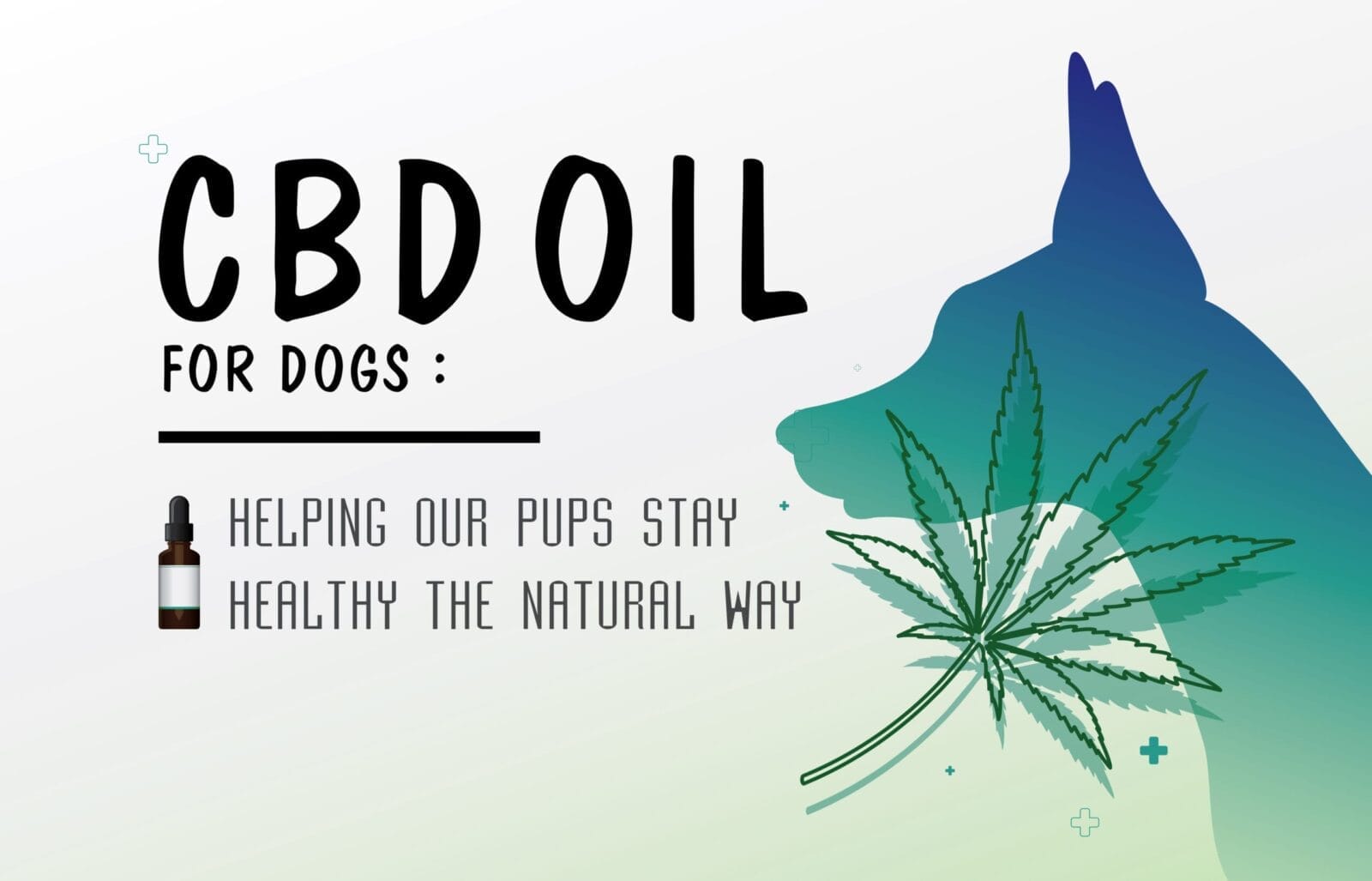 Understanding CBD Oil for Dogs