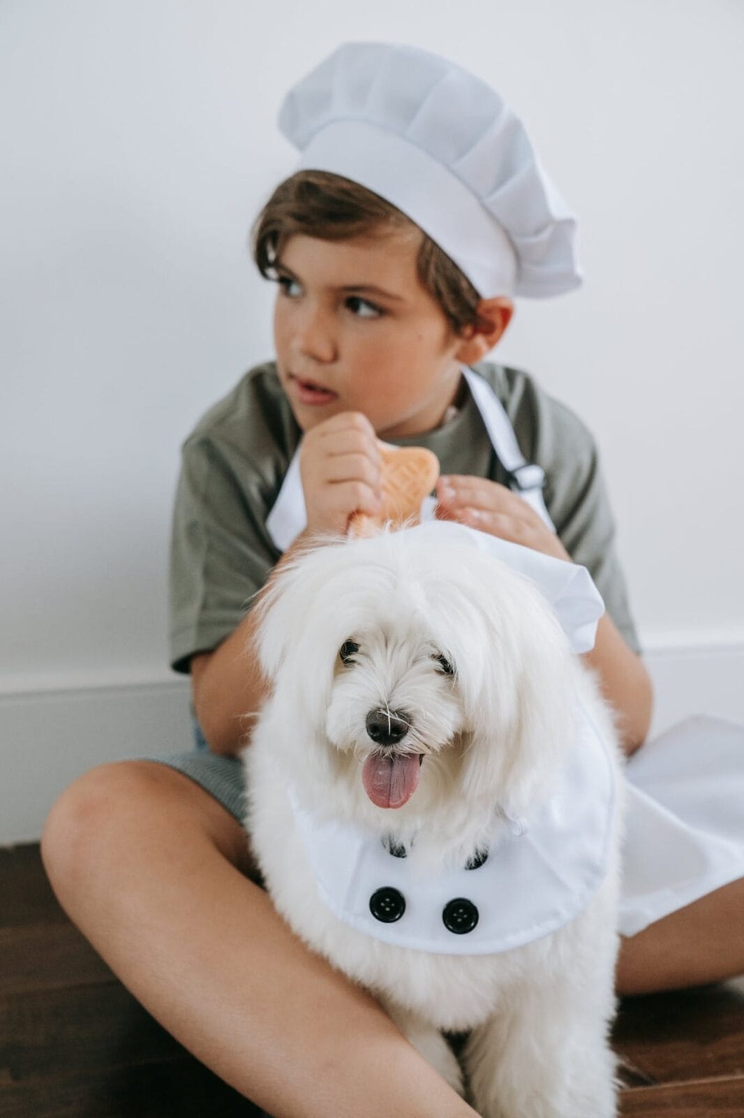 Animal Friends Pet Insurance Review: Get the Scoop on Coverage and Quality