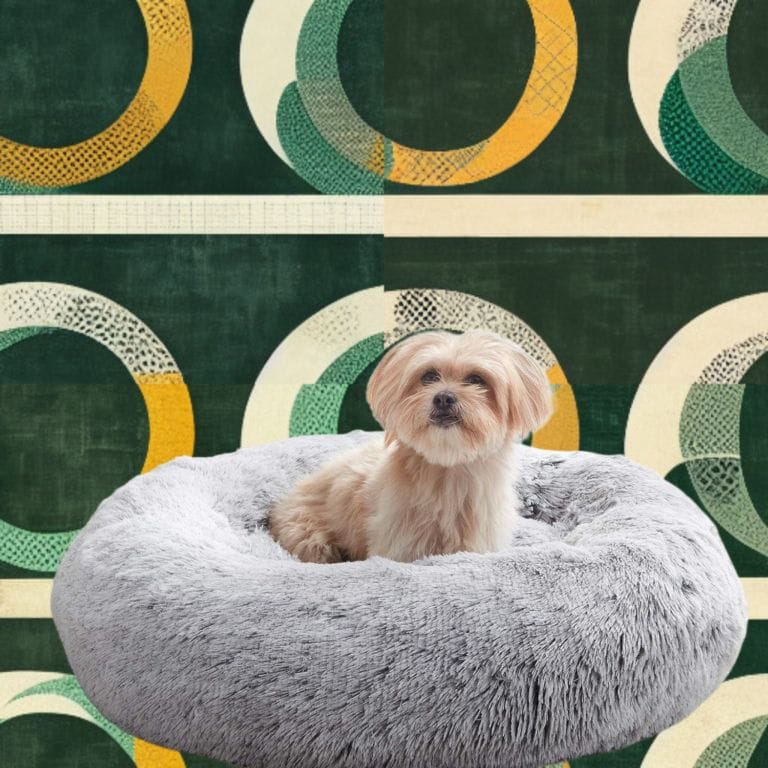 Best Calming Beds for Anxious Dogs