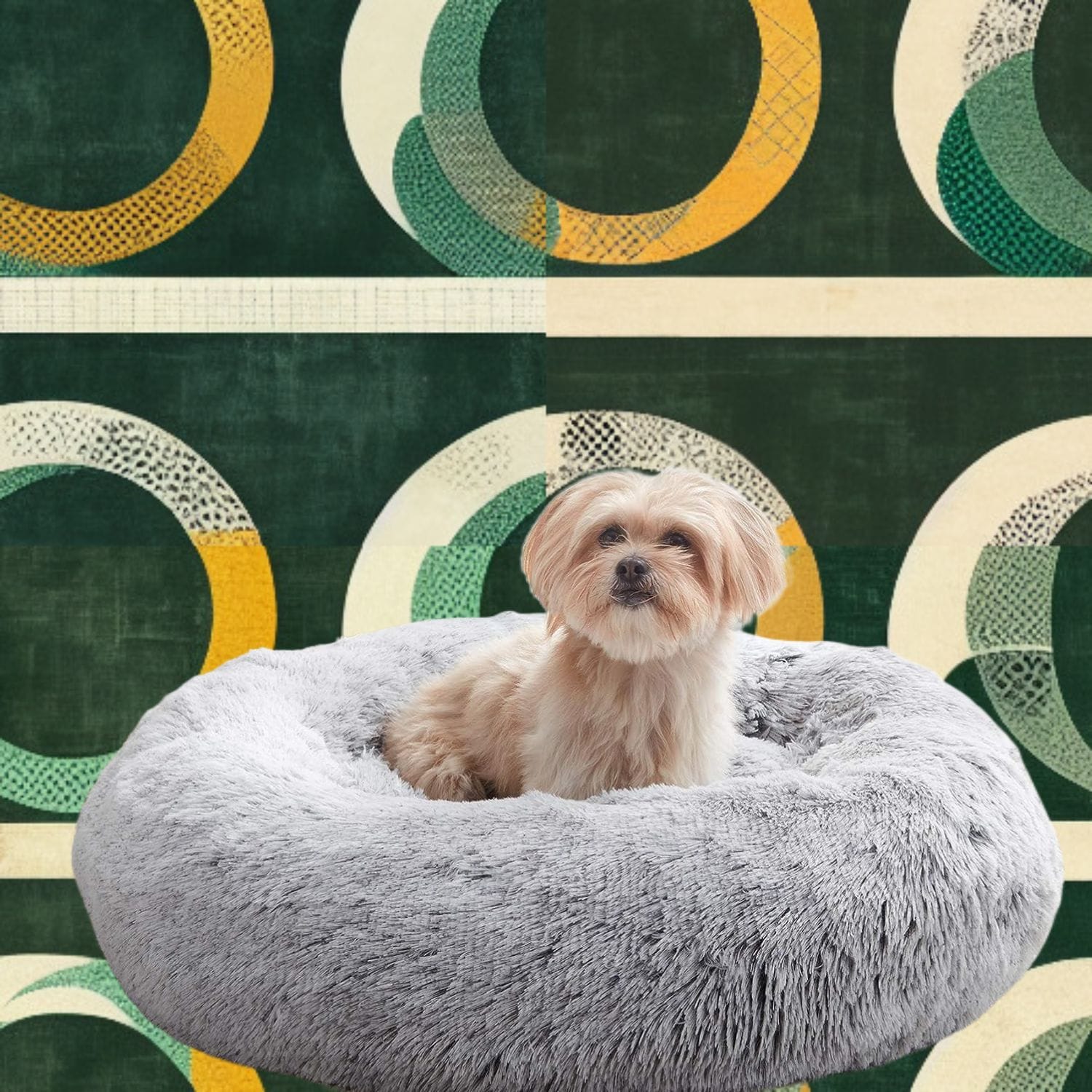 Best Calming Beds for Anxious Dogs Best Calming Beds for Anxious Dogs