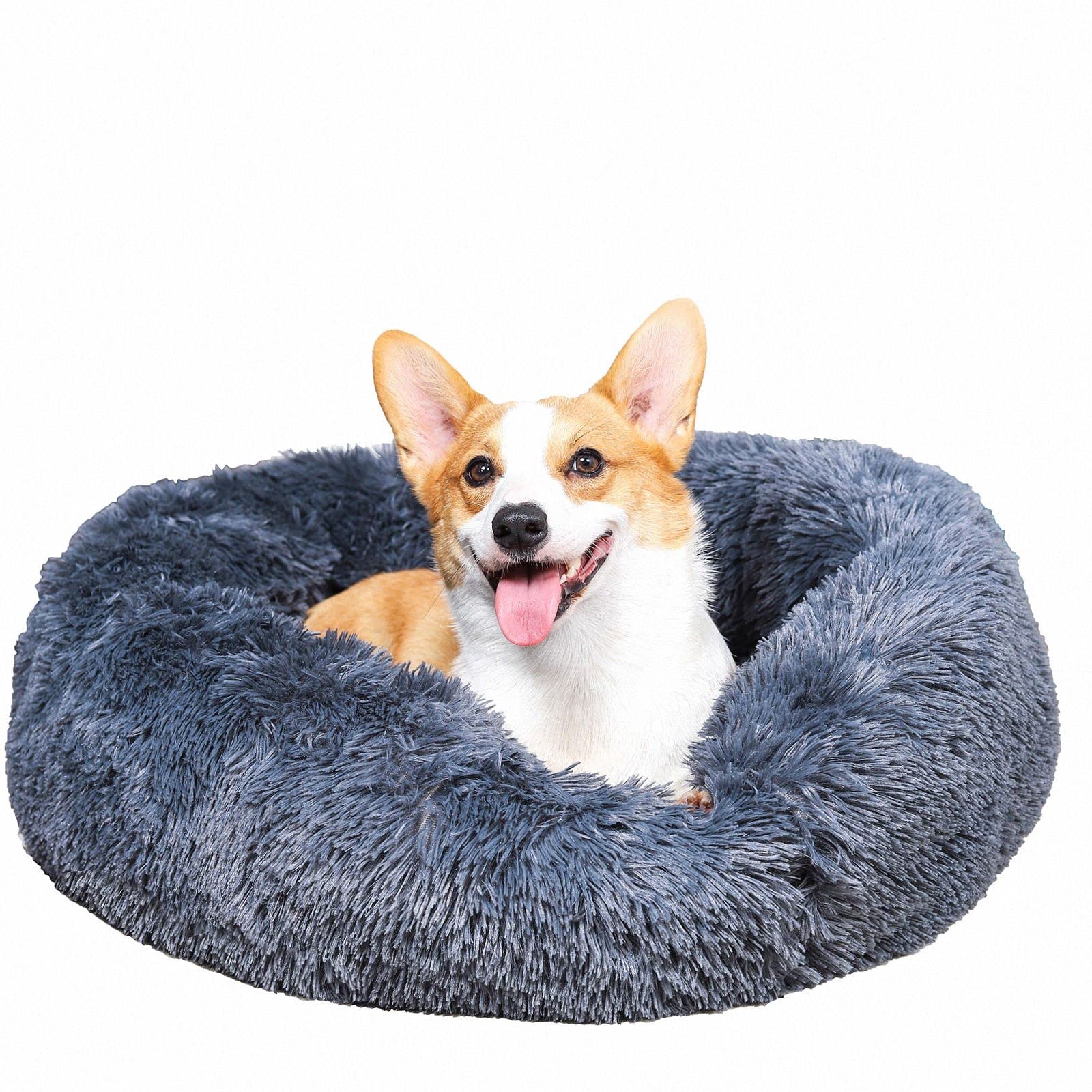 Curfakul Calming Dog Bed & Cat Bed