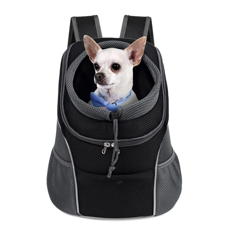 Best Dog Backpacks for Your Dog in 2023
