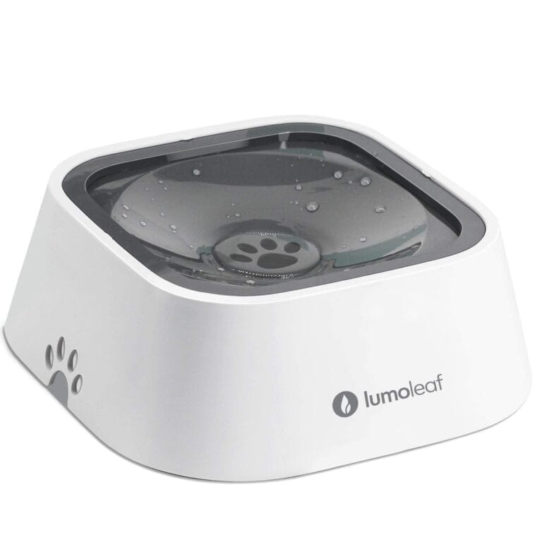 Dog Gadgets: Must-Have Accessories for Your Havanese Pup