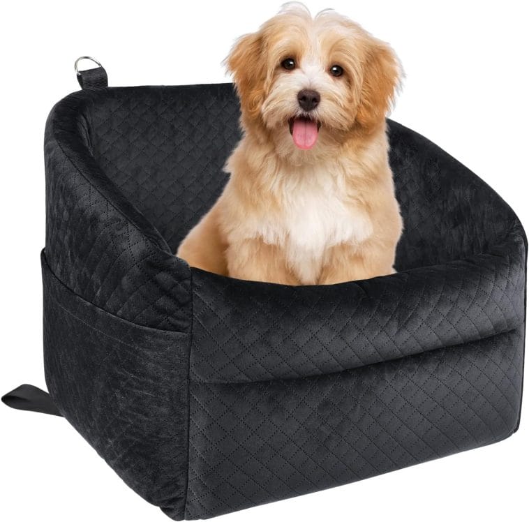A black dog sitting in a pet seat.