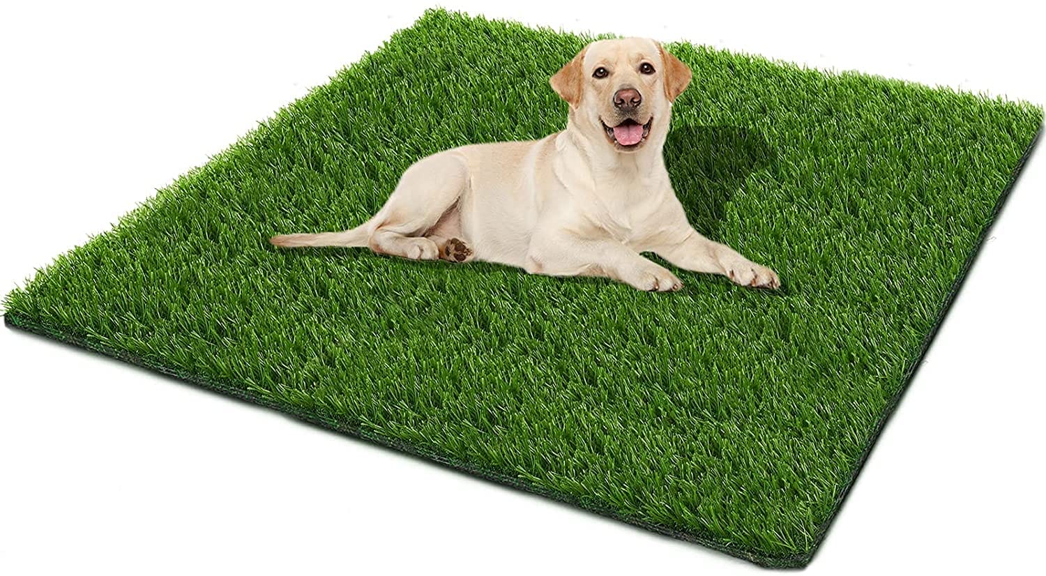 A labrador retriever lying on a green artificial grass mat, looking at the camera with a happy expression.