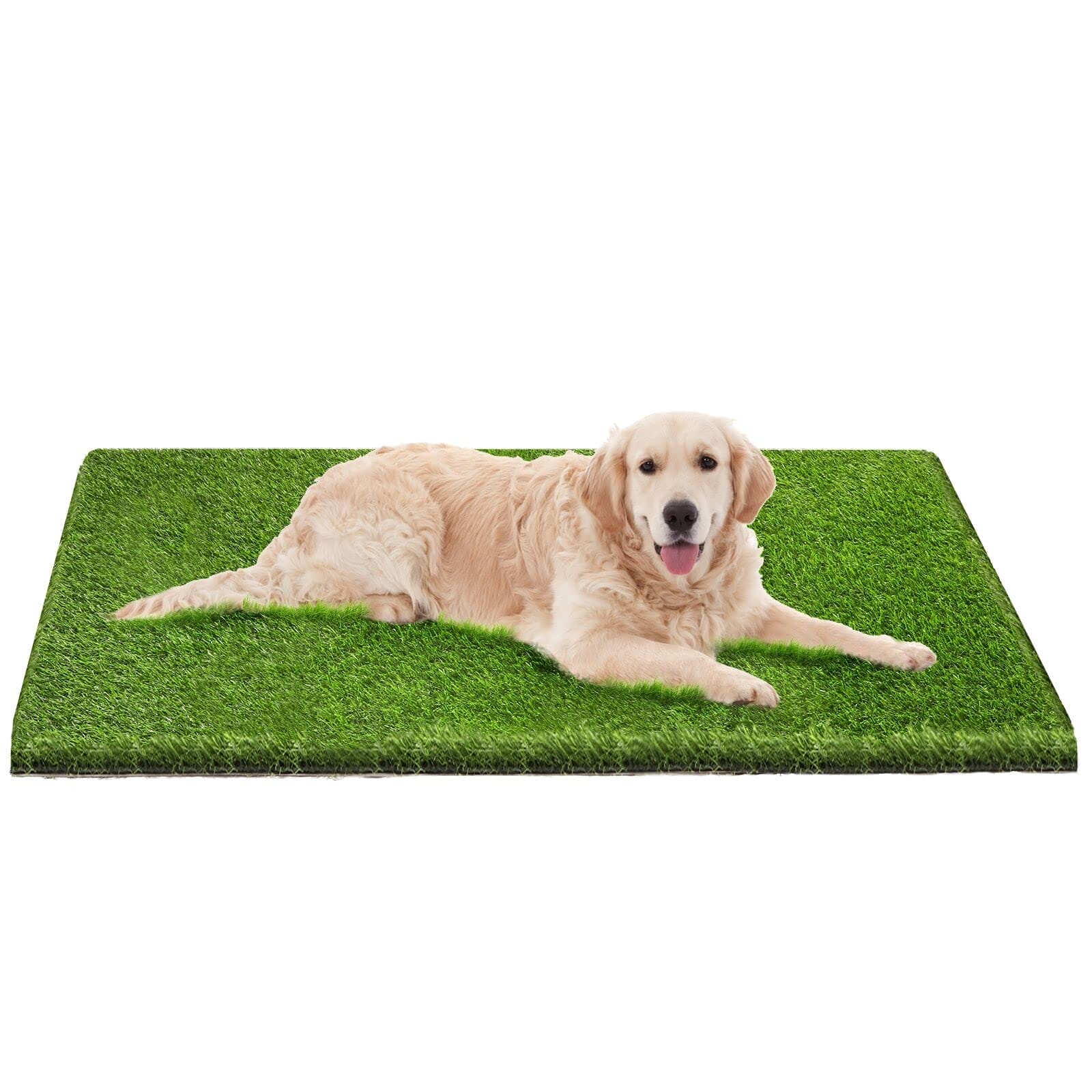 Golden retriever lying on a green artificial grass mat, looking directly at the camera with a happy expression.
