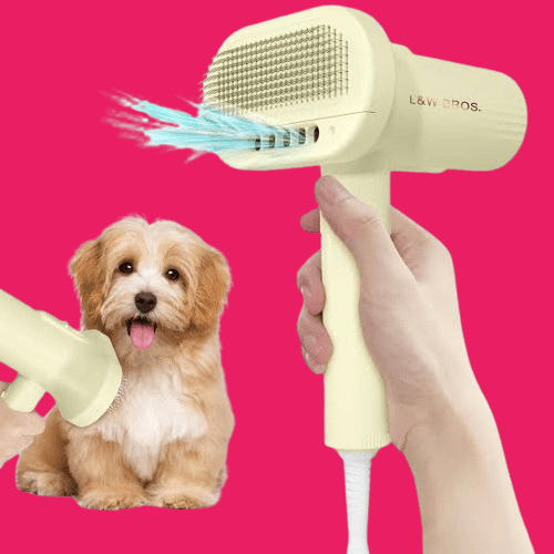 Best Hair Dryer for Havanese Dog in 2024 Best Hair Dryer for Havanese Dog in 2024