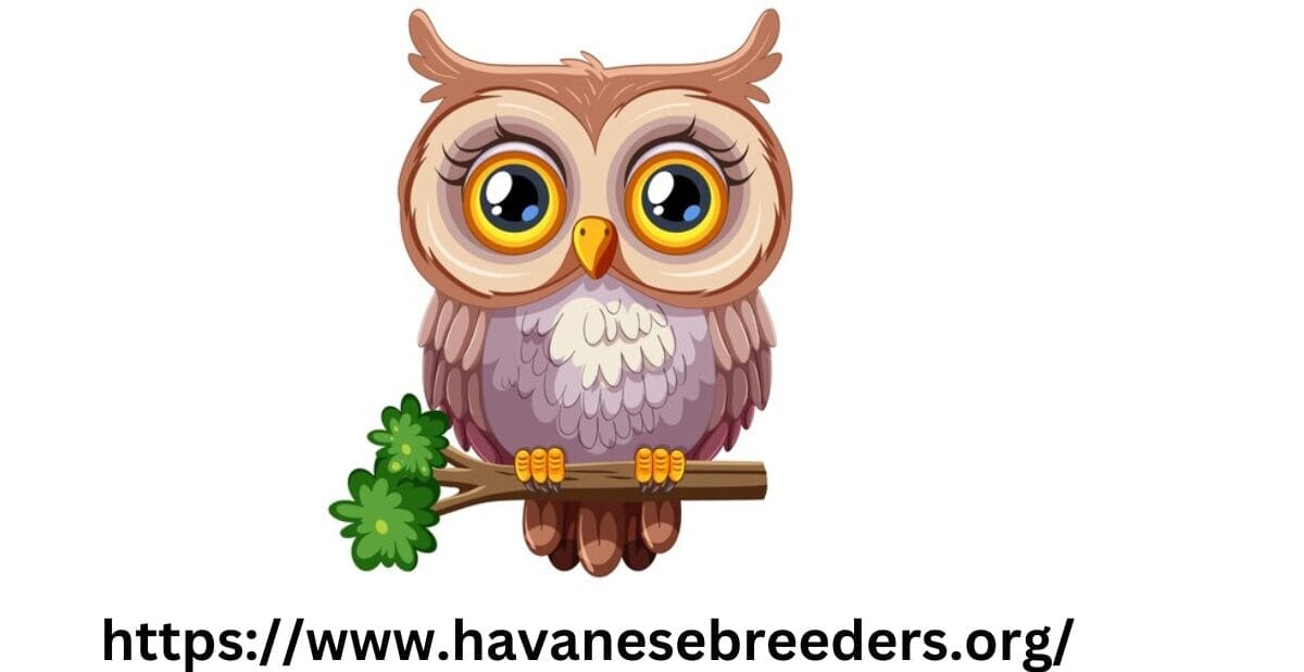 Do Owls Attack Dogs? Do Owls Attack Dogs?