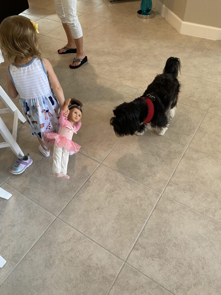 A little girl holding a doll stands on a tiled floor, facing a small black and white dog. An adult's legs are visible in the background.