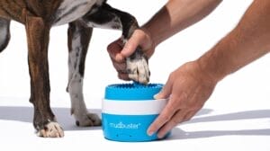 Dog Paw Cleaner: The Dexas Mudbuster Portable Paw Cleaning Tool
