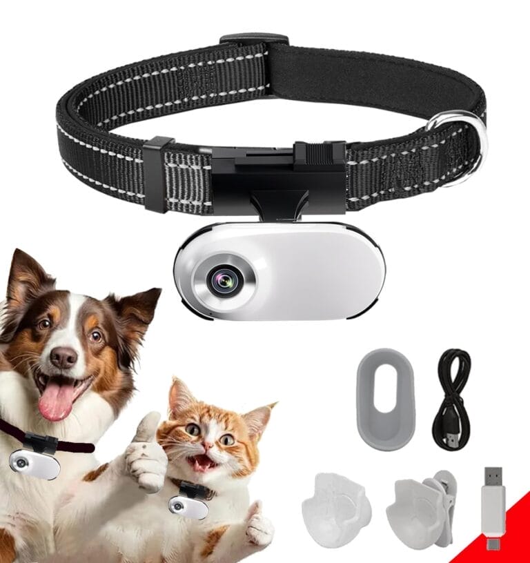 Best Collar Cameras for Dogs